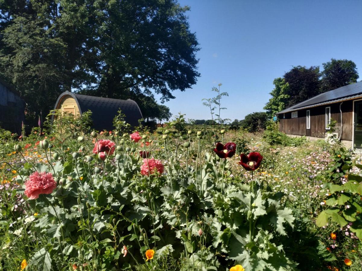 Chalet "Het Biggetje" Hottub - Sauna Volkel Bagian luar foto